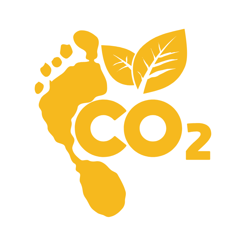 Pegada de carbono